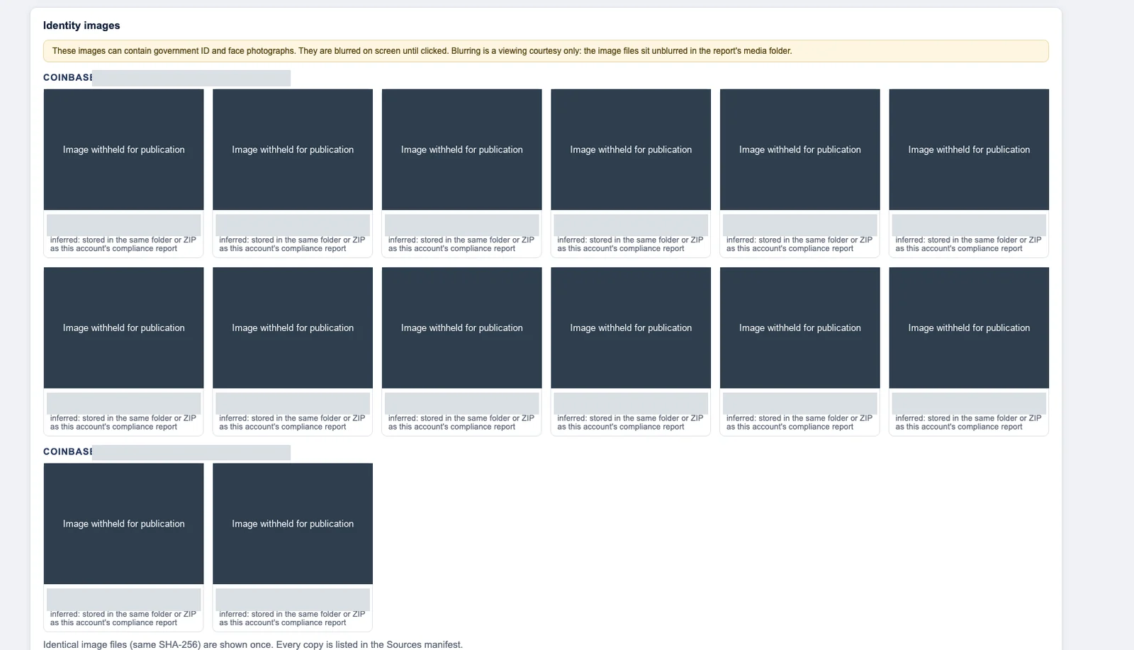 Custom report identity-image view with account identifiers, filenames, and all thumbnails permanently masked for publication.